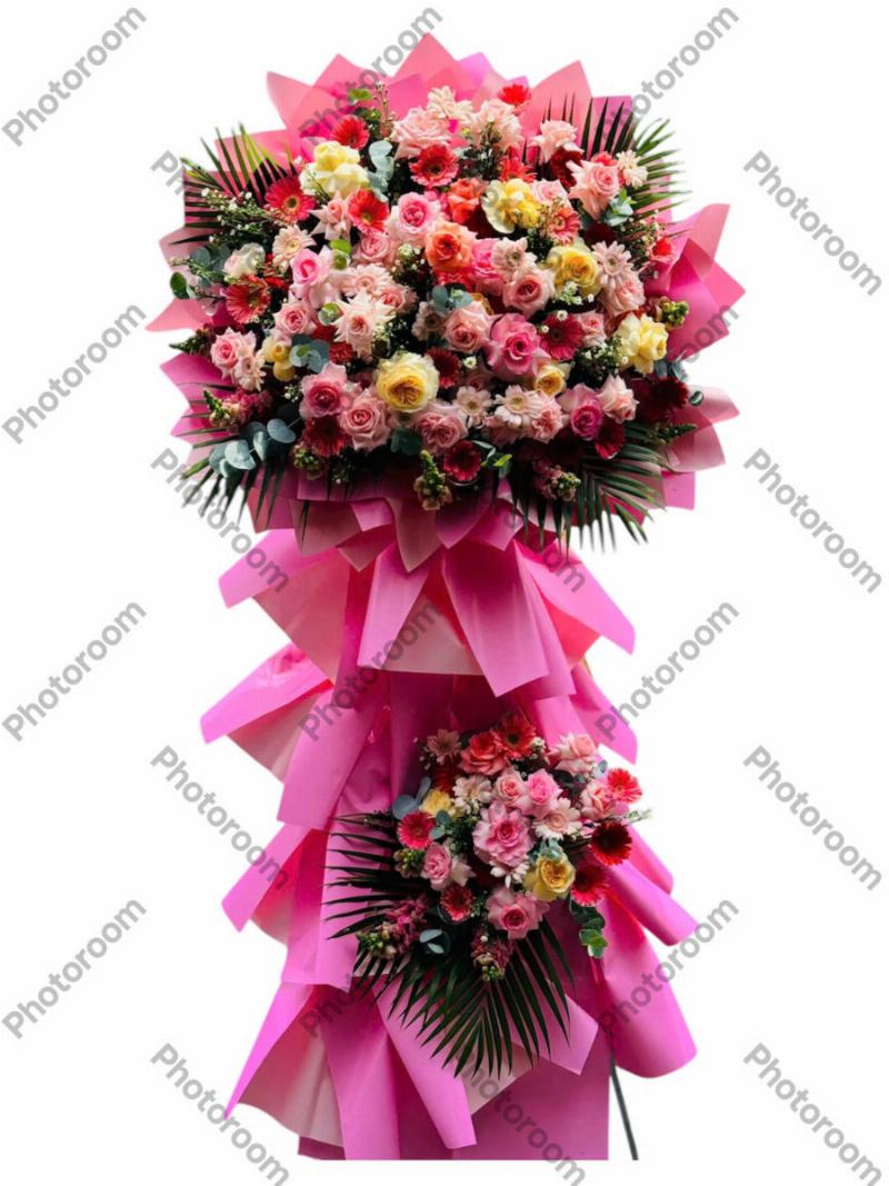 Bó hoa cẩm chướng đa sắc màu, thể hiện sự ngưỡng mộ và tôn trọng dành tặng người thân yêu trong ngày tốt nghiệp
